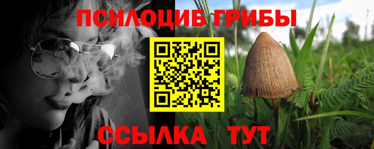 Гай  Галлюциногенные грибы мухоморы  Вход с VPN  Псилоцибиновые грибы ЛСД 
